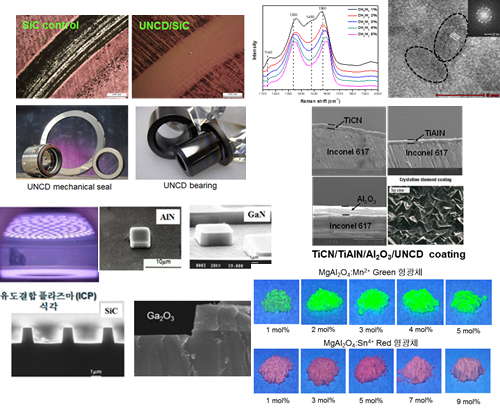 주관심 분야 및 연구내용