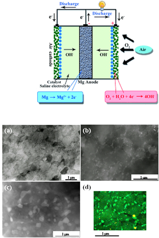 주 관심 분야 및 연구내용